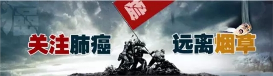 �����������2015������ܰ�Ĺ�����Ƭ��