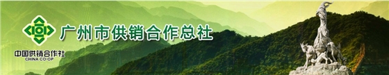 ͨ���ﵩ,׼ʱ��ɹ����й�������������չ�岼��