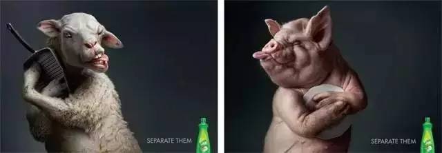 �����첩�����й����ٷ���վ