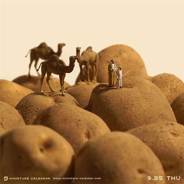 �����첩�����й����ٷ���վ