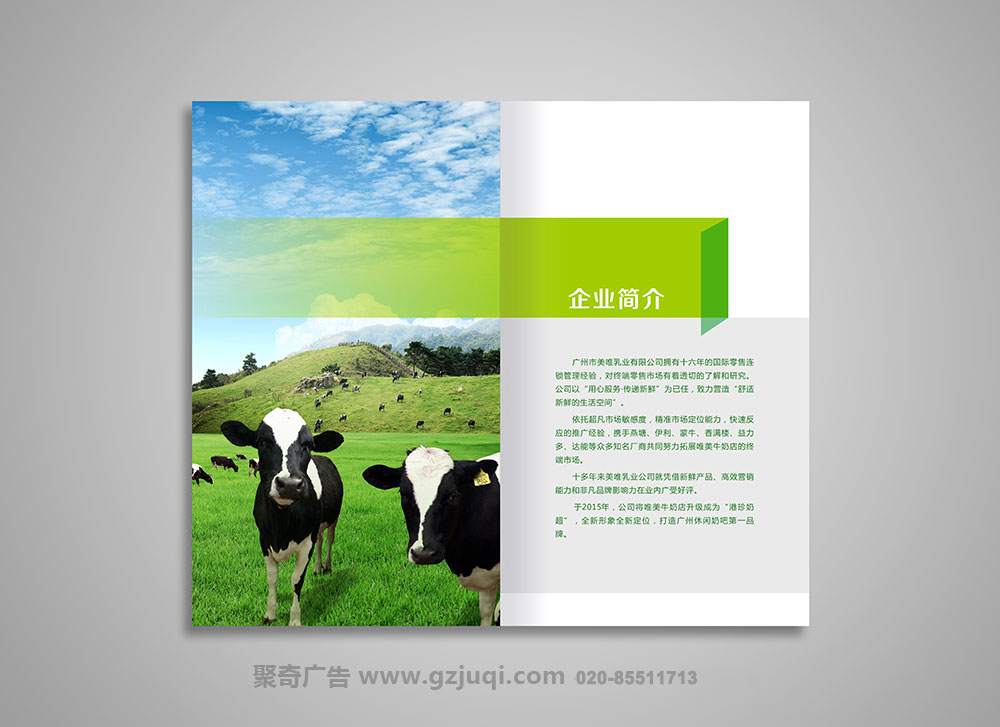 广州品牌画册天博买球(中国)官方网站公司 广州品牌画册天博买球(中国)官方网站公司